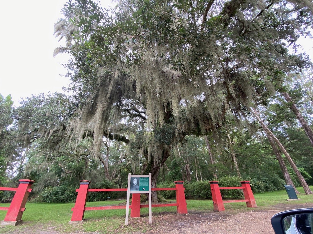 avery island la - cleveland oak 01.jpeg